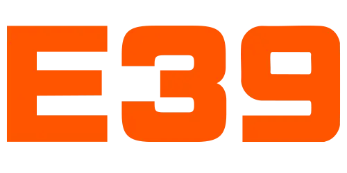 e399.biz